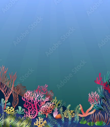 Fototapeta Naklejka Na Ścianę i Meble -  Underwater seascape scene