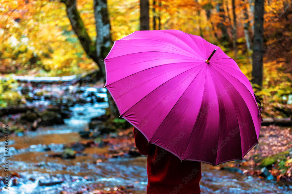 girl under pink umbrella in the forest