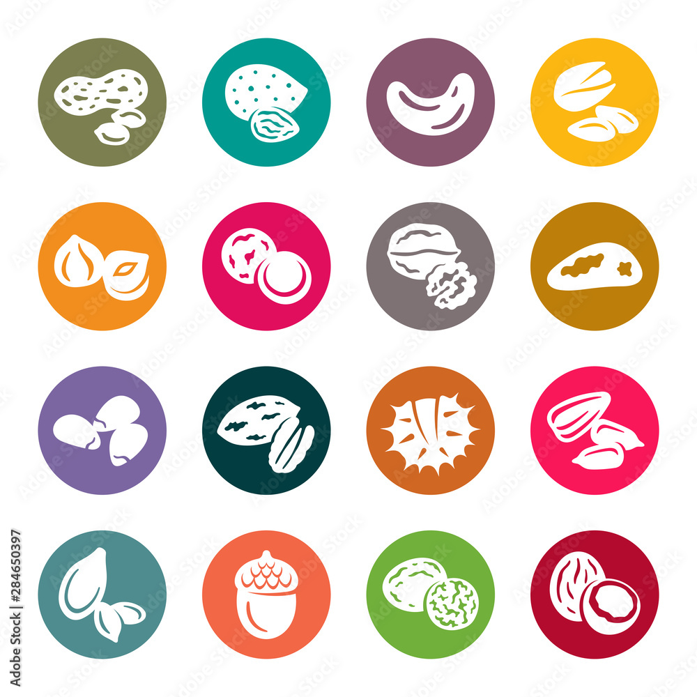 Nuts colourful vector icons Nuts colourful vector icons