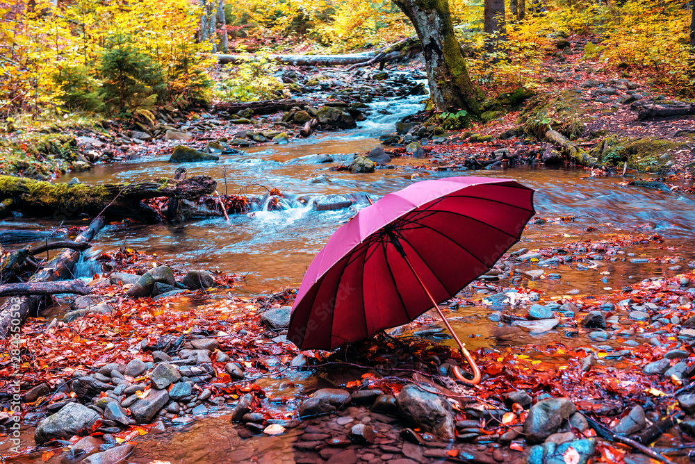 red opened umbrella on the bank of the stream