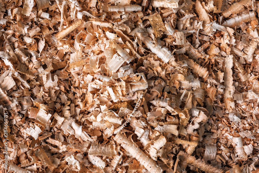 wood shavings texture wood shavings texture