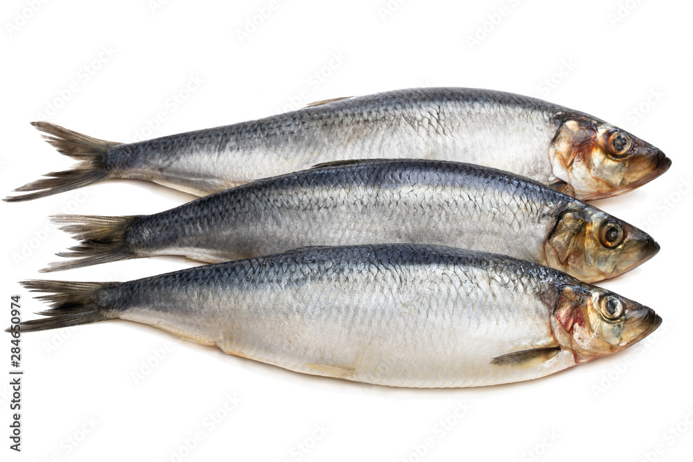 Set of fresh whole herring fish isolated on white Set of fresh whole herring fish isolated on white