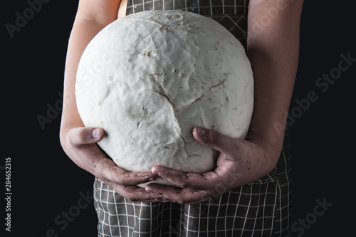 Принти на полотні Giant puffball mushroom on hand