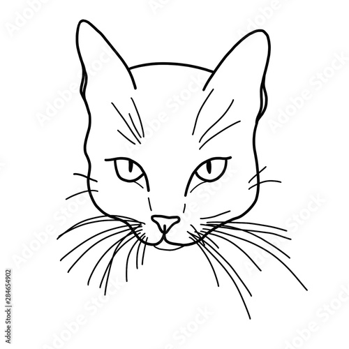 Muzzle cats drawn line. Nice animal. Black and white image