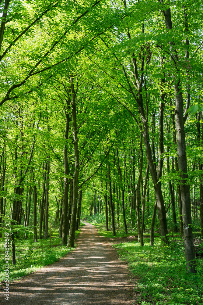 Wandern in den Wäldern um Duisburg