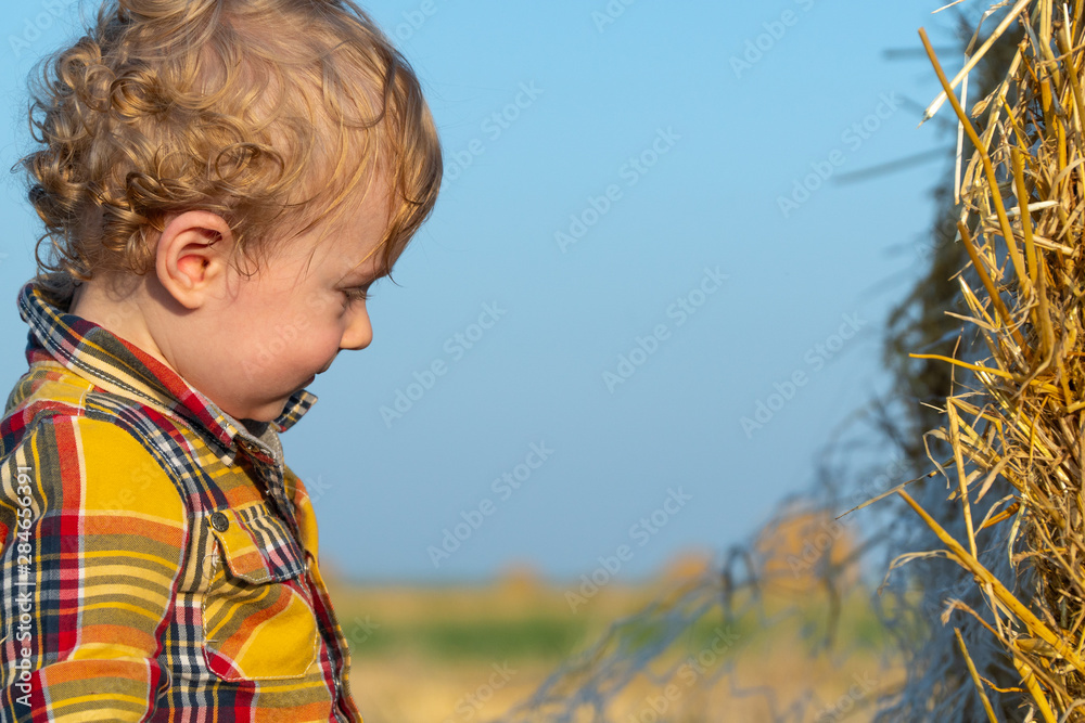 Cute little fair-haired boy playing on a wheat field with bales Cute little fair-haired boy playing on a wheat field with bales
