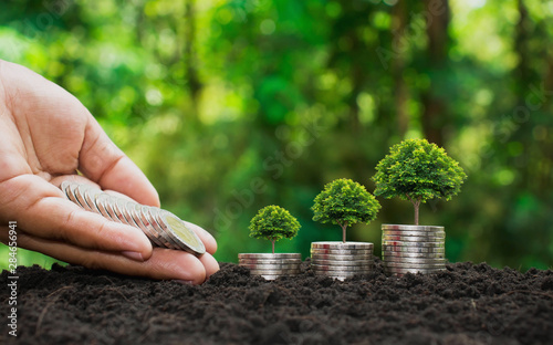 Obraz na płótnie The hands of investors are delivering coins to the trees planted on coins, financial concepts and financial growth