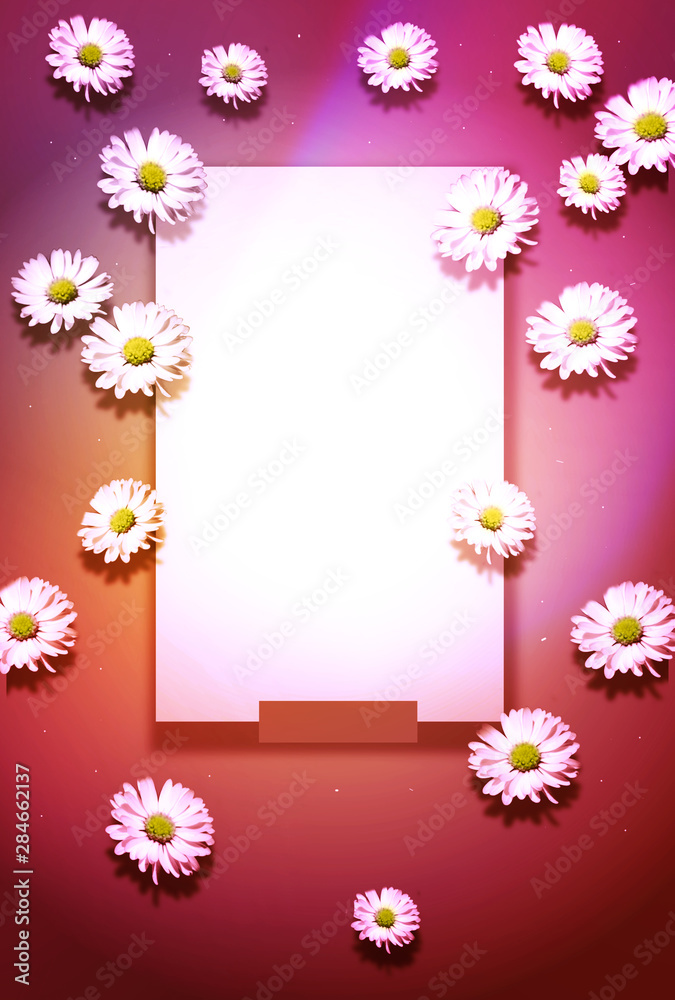 Colorful background with daisy
