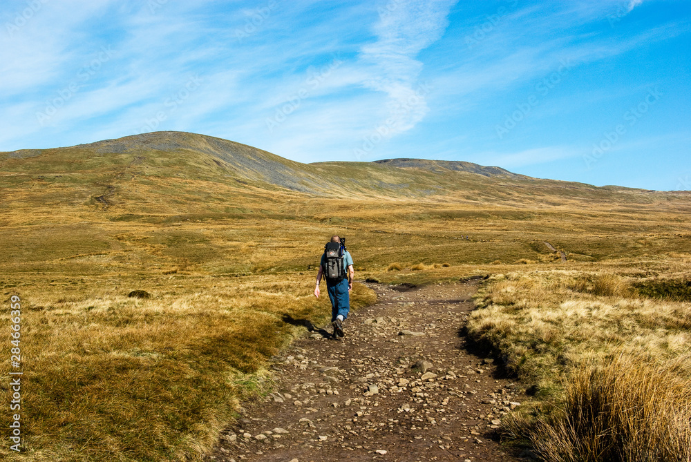 A man walking towards Ingleborough mountain. Yorkshire Dales National Park