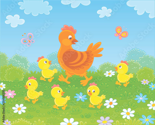 Brown hen with little yellow chicks walking on green grass among flowers on a summer meadow on a sunny day  vector illustration in a cartoon style