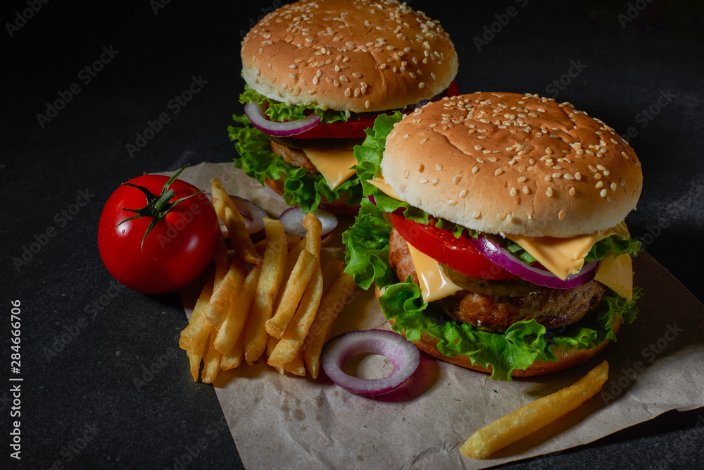 homemade hamburger with French fries tomatoes and cheese and herbs and onions homemade hamburger with French fries tomatoes and cheese and herbs and onions