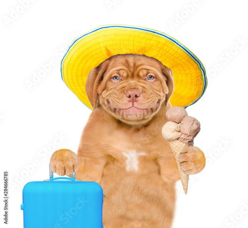 Smiling puppy in summer hat holds suitcase and ice cream. Isolated on white background