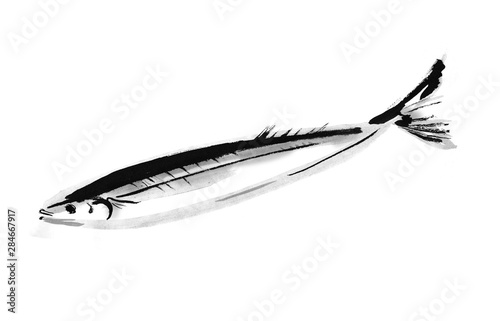 さんま 秋刀魚 鮮魚 筆書き 手描き 秋の食材 生魚 青魚 墨絵 サンマ 秋 魚 和食 さかな Stock イラスト Adobe Stock