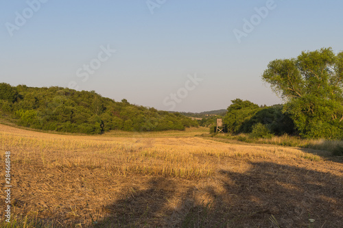 Landschaft im Sommer