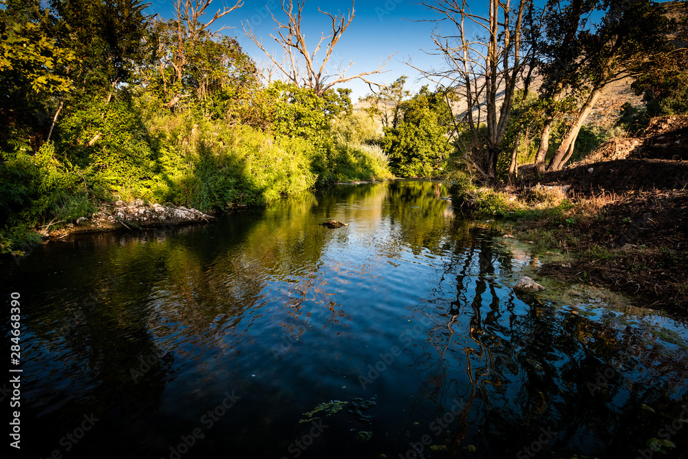 reflection of trees in the water of a river