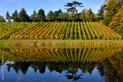 Autumn View of the Vinyard in Painshill Park