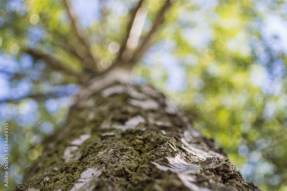 Obraz premium Landschaft im Sommer