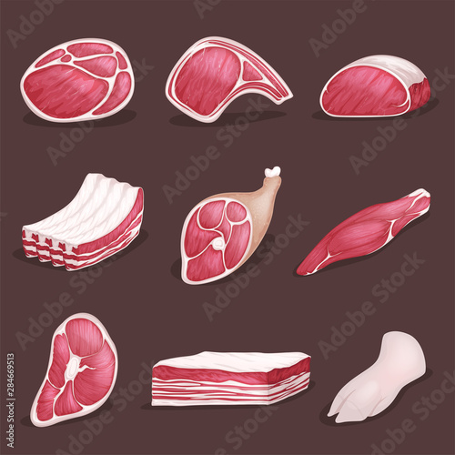 Lamb, pork beef, and other meat pictures in cartoon style. Steak of beef, raw pork meat.