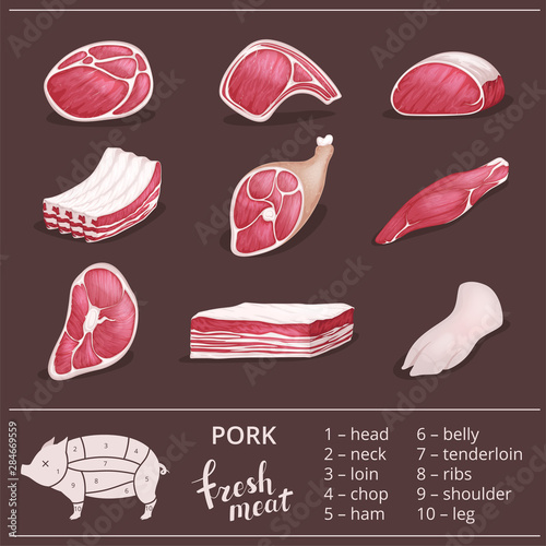 Diagram cutting pig meat. Butcher shop, pork vector illustration. Isolated vector illustration.