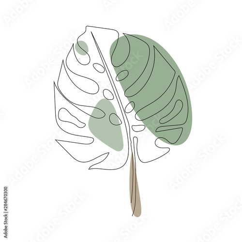 Canvas Print Exotic monstera continuous one line drawing summer tropical leaf hand drawn on w