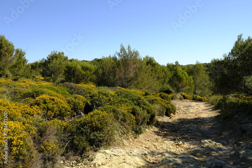 Landschaft und Steilküste auf der Halbinsel Llevant im Naturpark Llevant, Mallorca, Balearen, Spanien