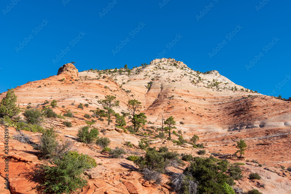 Zion National Park low angle landscape of orange and white stone hill or mountain side