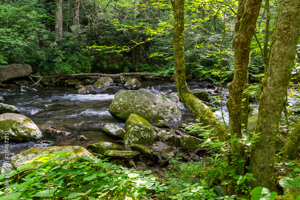 River Rocks