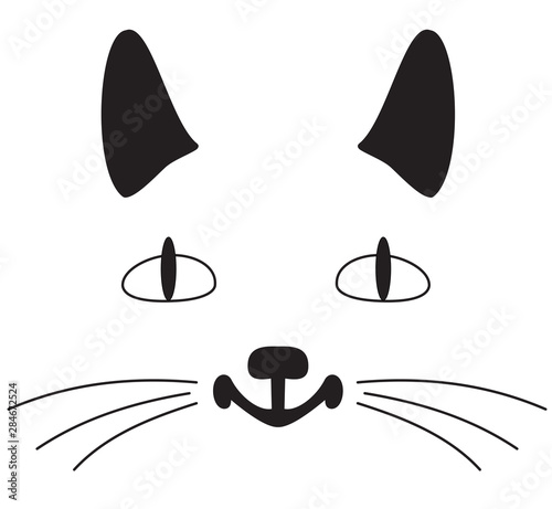 Outlines of a muzzle of a cat