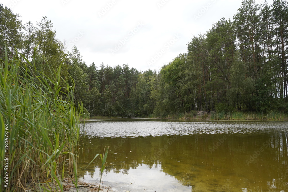 Beautiful forest lake. The lake among the forest and pines. Beautiful forest lake. The lake among the forest and pines.