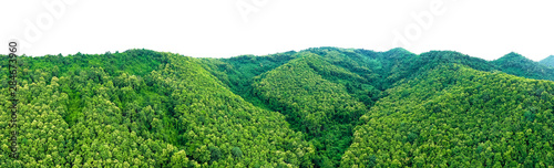 landscape aerial view mountain green natural forest in the rain season on white background isolate