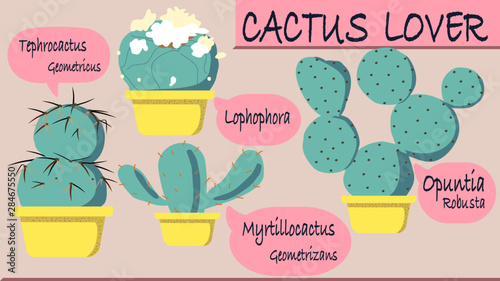 Name of Cactus,tropical exotic, Creative modern texture for web page , wrapping, textile, wallpaper, apparel. Vector illustration.
