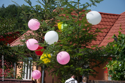 Wedding balloons in trees in Romania,Focsani,Vrancea  photo