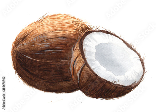 Watercolor single coconut tropical food nut isolated on a white background illustration