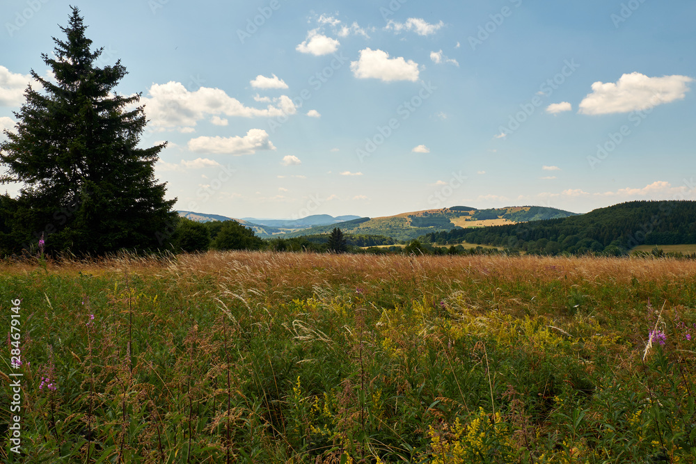 Obraz premium Am Bauersberg, Biosphärenreservat Rhön, Bischofsheim a.d.Rhön, Landkreis Rhön-Grabfeld, Unterfranken, Franken, Bayern, Deutschland.