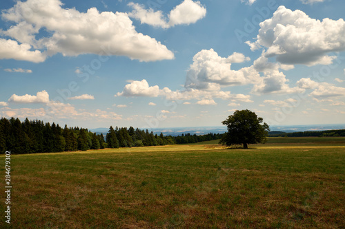 Am Bauersberg  Biosph  renreservat Rh  n  Bischofsheim a.d.Rh  n  Landkreis Rh  n-Grabfeld  Unterfranken  Franken  Bayern  Deutschland.