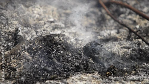 Wallpaper Mural Beautiful rays of sunlight behind clouds over the sea at sunset Torontodigital.ca