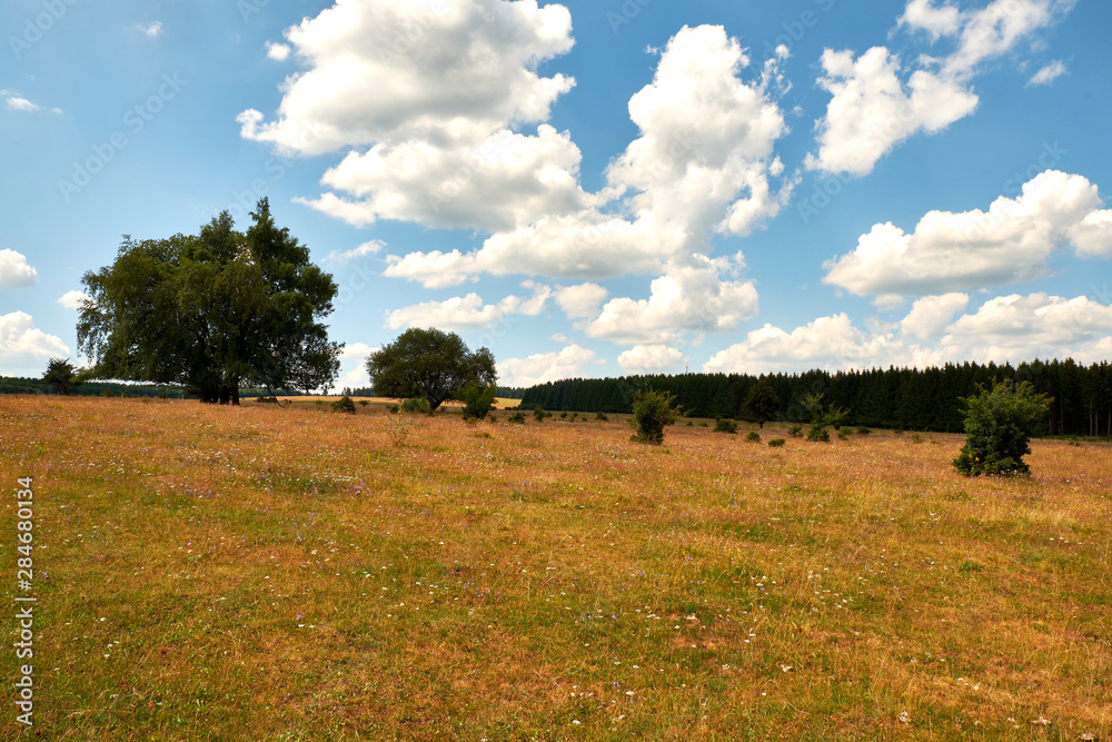 Fototapeta premium Am Bauersberg, Biosphärenreservat Rhön, Bischofsheim a.d.Rhön, Landkreis Rhön-Grabfeld, Unterfranken, Franken, Bayern, Deutschland.