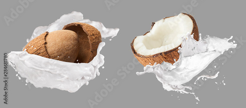 Creative Collection set with Flying in air fresh ripe whole and cracked coconut with milk splashes