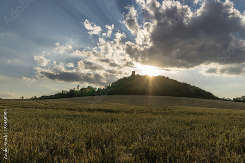 Landschaft im Sommer