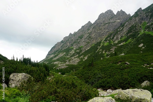 Beautiful High Tatras mountains landscape in Slovakia near city Old Smokovec. sunny summer day