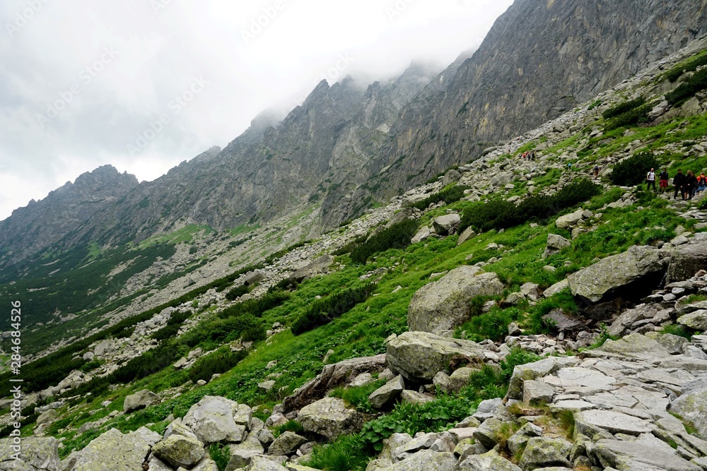 Obraz premium Beautiful High Tatras mountains landscape in Slovakia near city Old Smokovec. sunny summer day