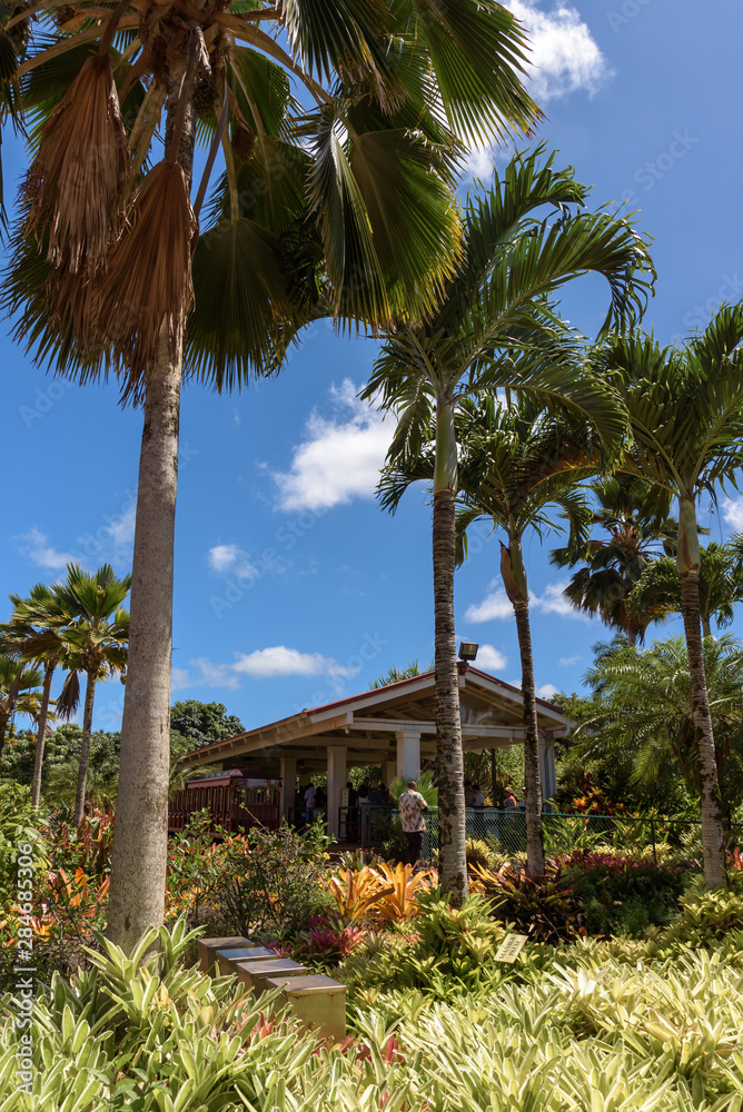 A plantation building, flanked by tall palm trees, on a tropical island