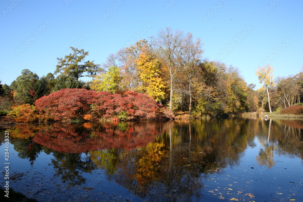 Lake in autumn park