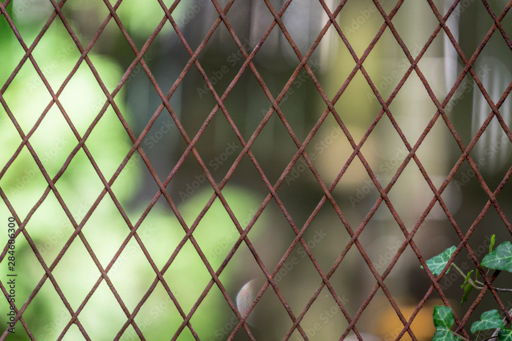 Fototapeta premium Flowers and bees