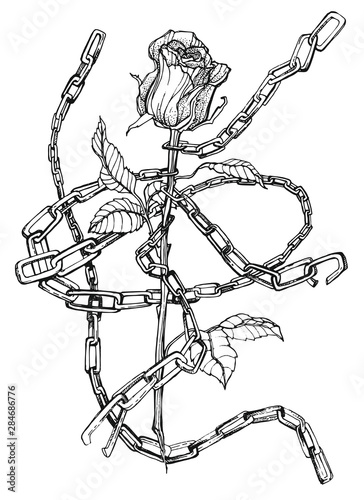 illustration of a skeleton