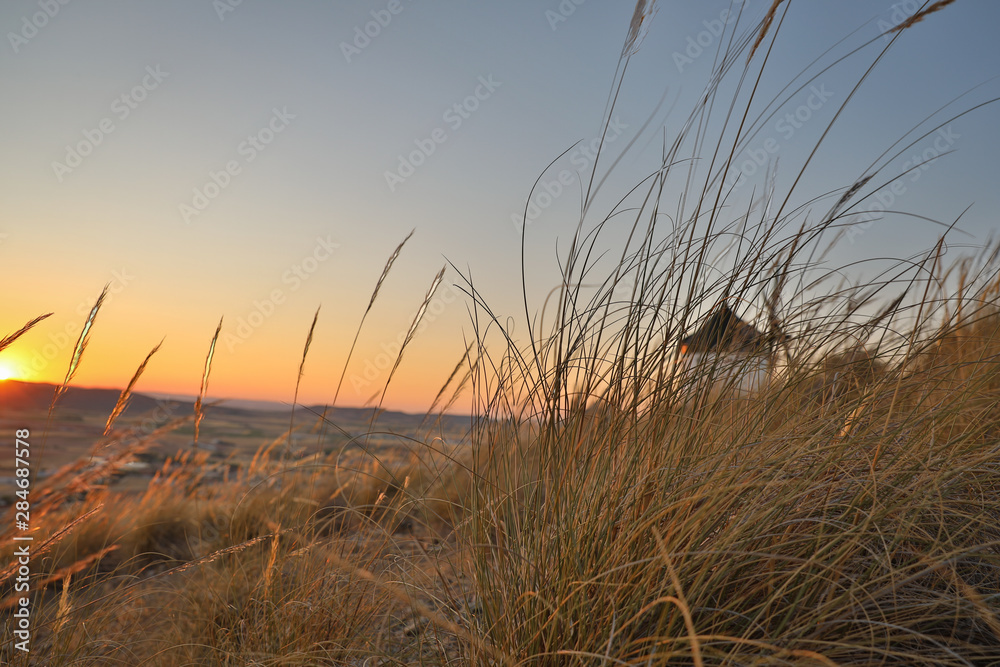 Obraz premium old Spanish wind mills Don Quijote