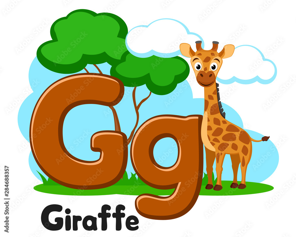 Fototapeta premium Alphabet animal big giraffe, letter Gg on a white. Preschool education.