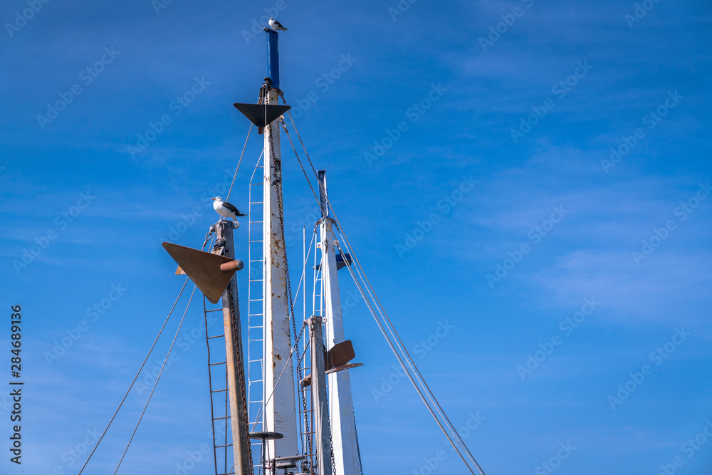 Obraz premium Nature