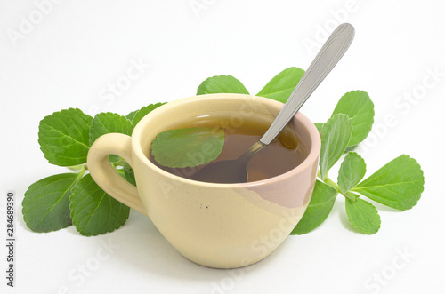 Boldo tea. Natural and medicinal tea. Fresh green plant. Boldo leaf and a teaspoon inside the beverage. photo