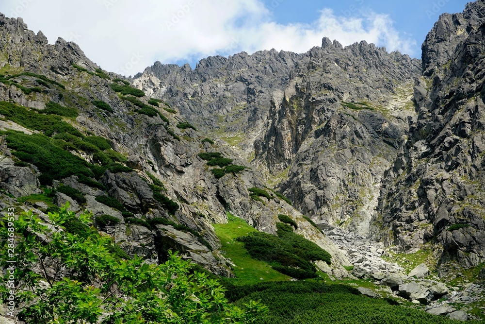 Obraz premium Beautiful High Tatras mountains landscape in Slovakia near city Old Smokovec. sunny summer day